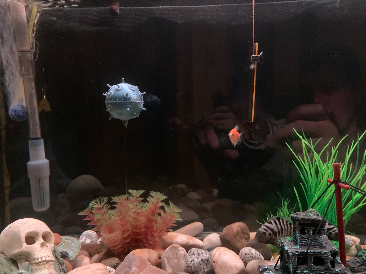 Akvaryum için deniz madeni ... (Plastik Aparattır!!!)