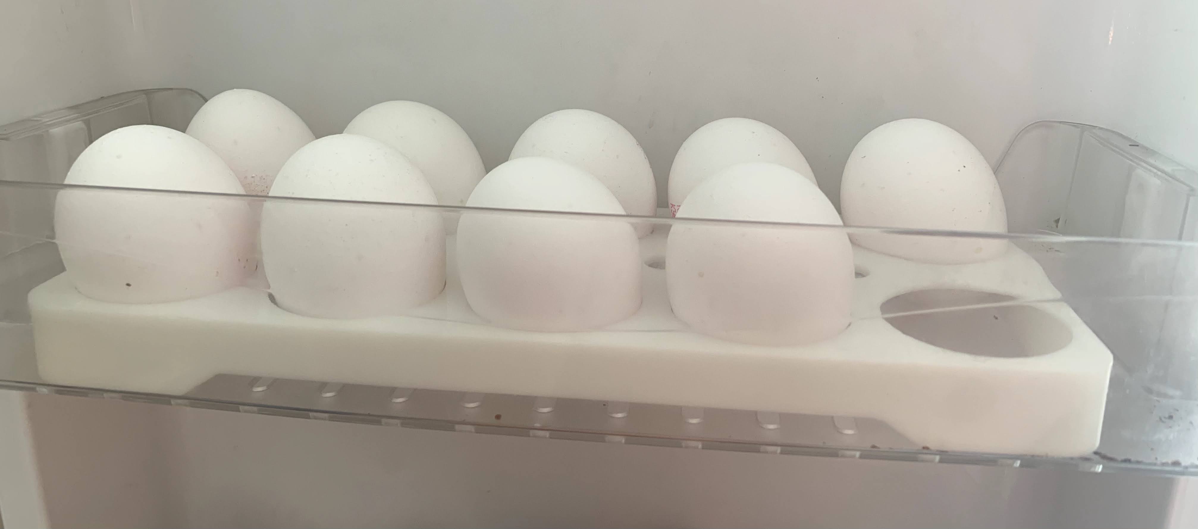 Buzdolabı Panasonic'te Yumurta Standı (Plastik Aparattır!!!)