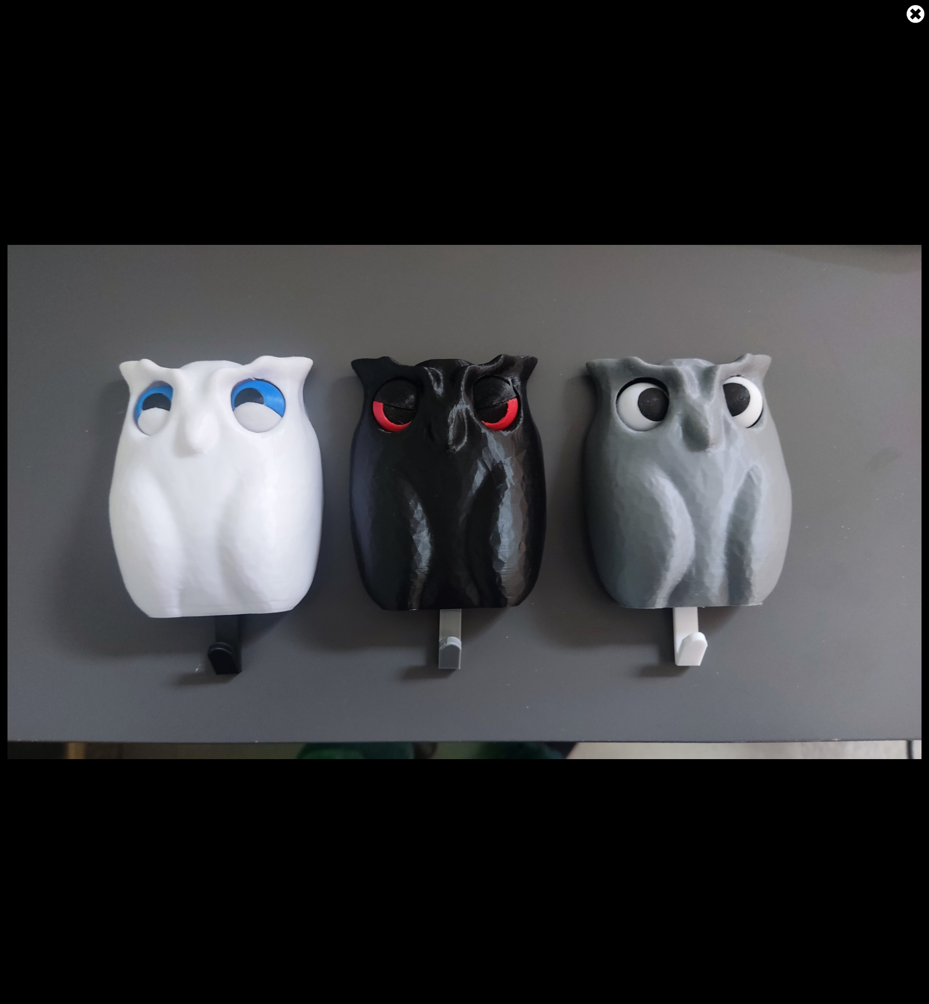 Baykuş anahtarlar için bir duvar tutucusudur. (Plastik Aparattır!!!)