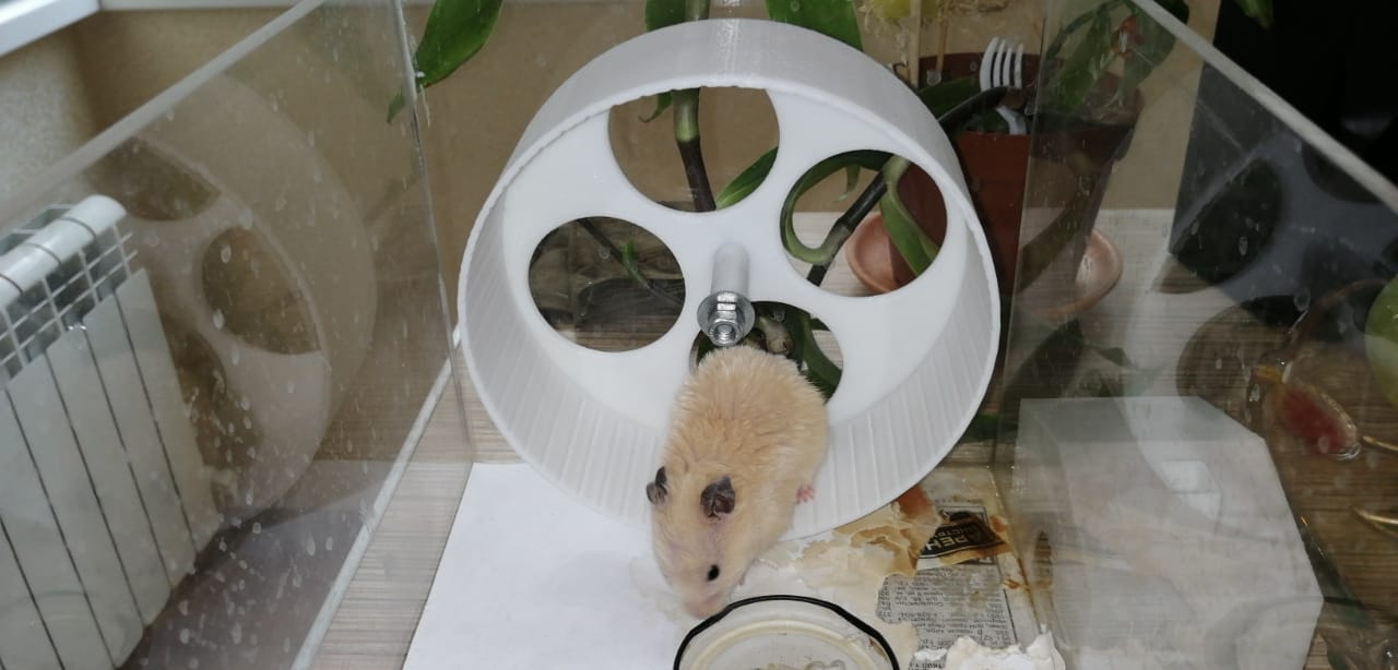 hamster tekerleği (Plastik Aparattır!!!)