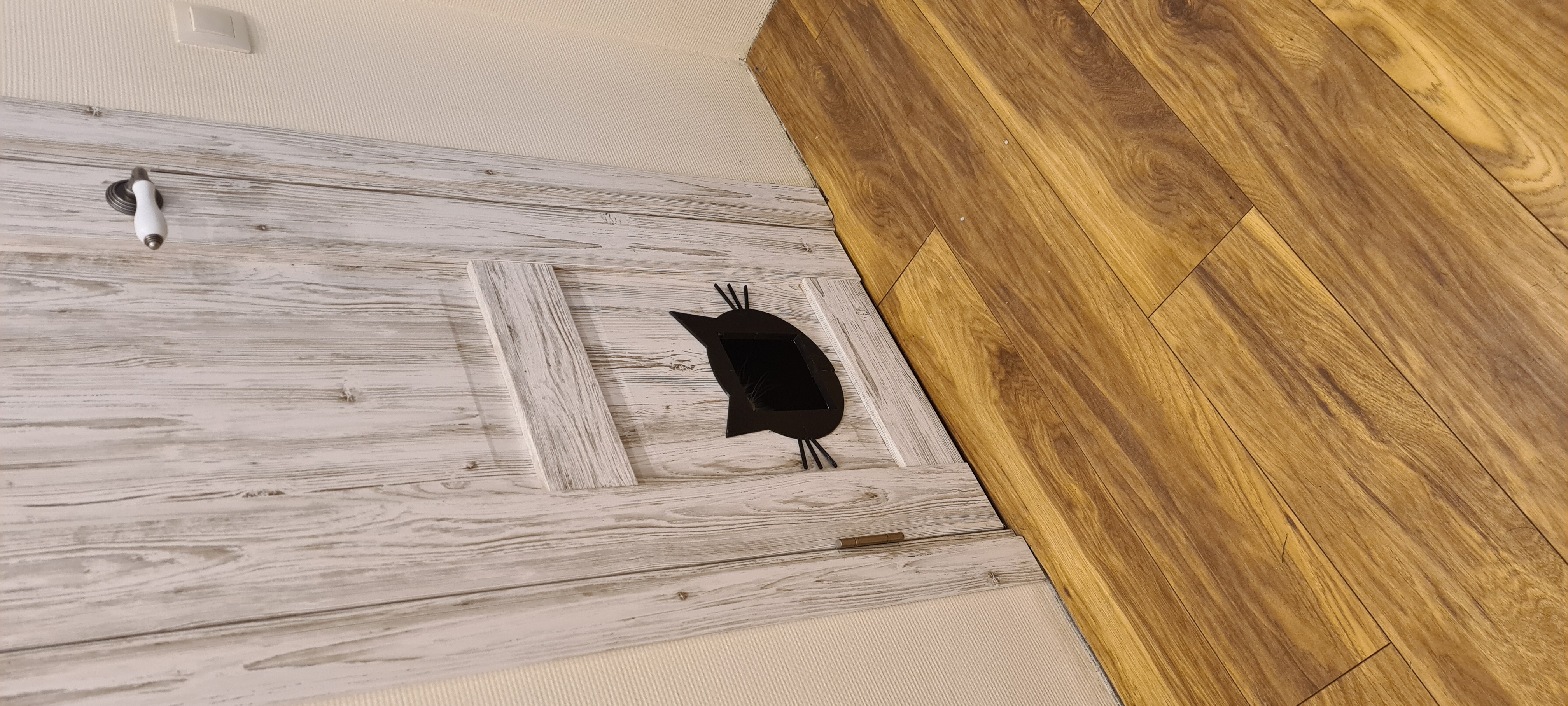 Bir kedi için bir kedi (Plastik Aparattır!!!)