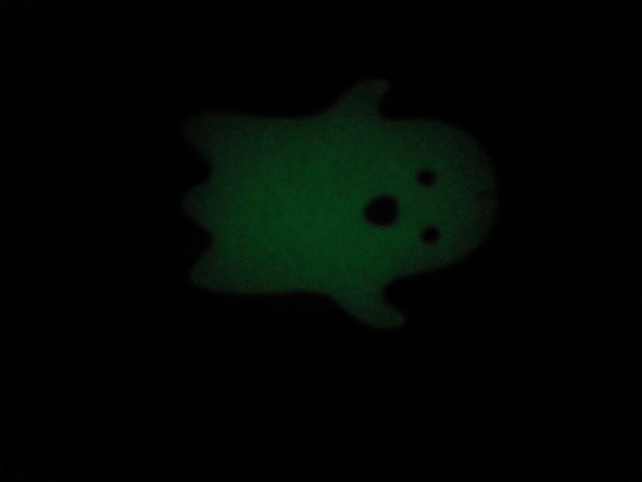 Hayalet (Plastik Aparattır!!!)