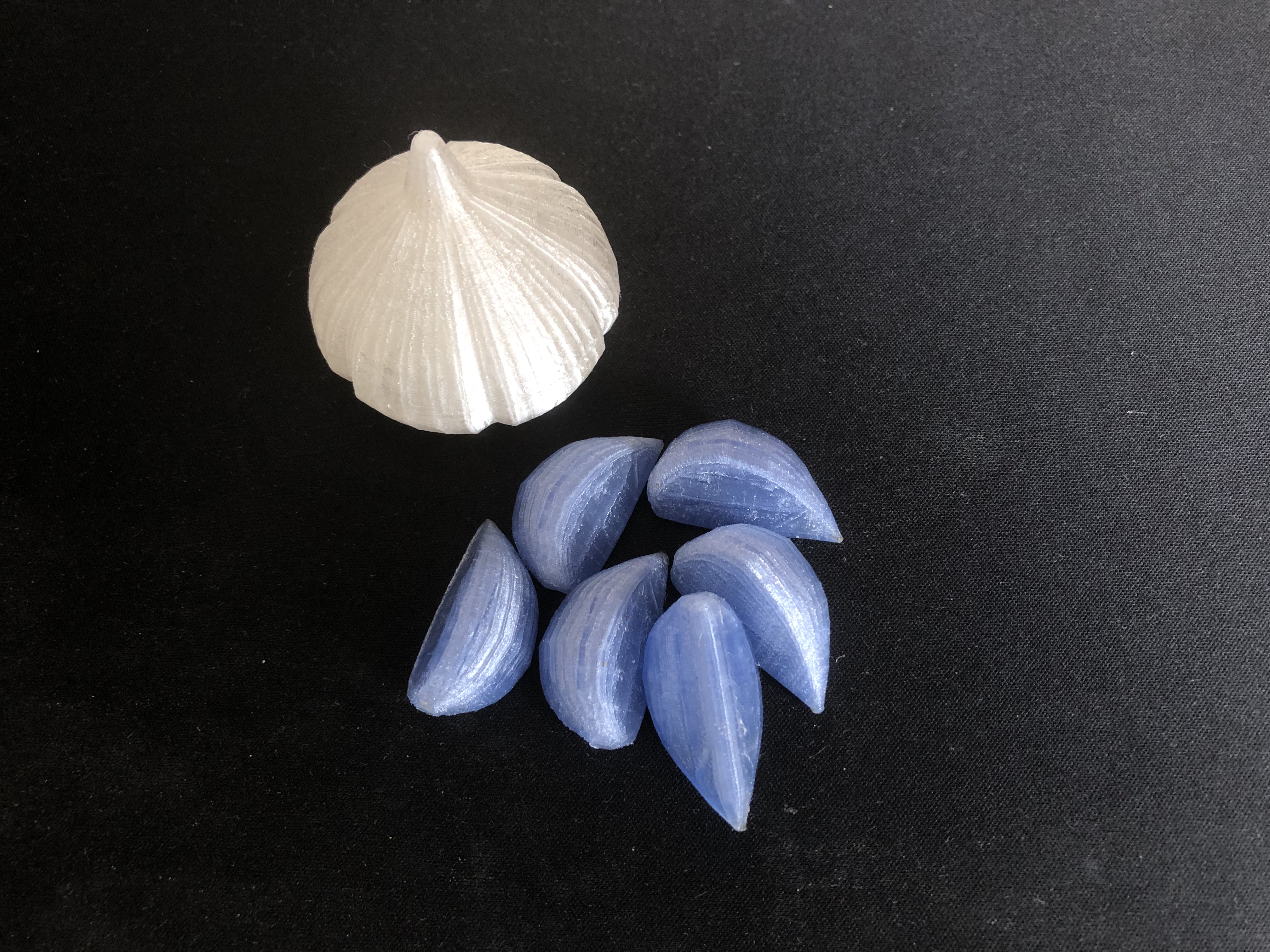 Sarımsak - 3D Bulmaca (Plastik Aparattır!!!)