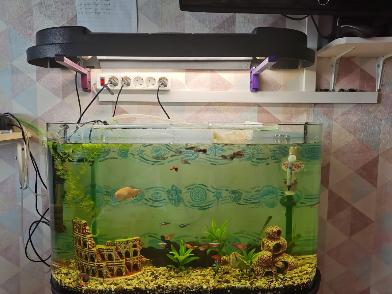 Akvaryumun kapağı için köşe köşesi (Plastik Aparattır!!!)