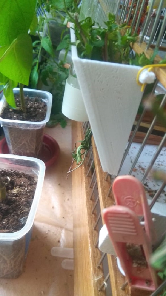 Kanarya veya diğer kuşlar için bir besleyici. (Plastik Aparattır!!!)