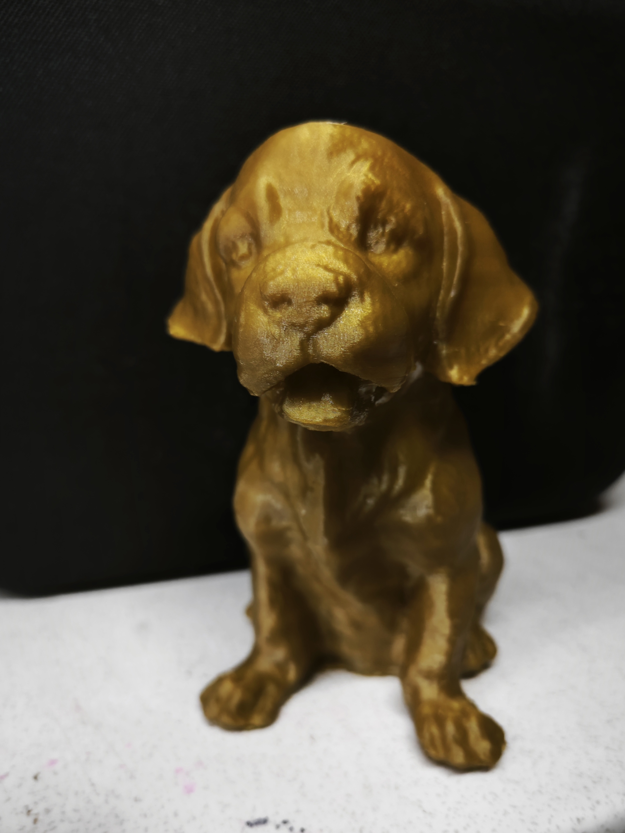 Spanielka (Plastik Aparattır!!!)