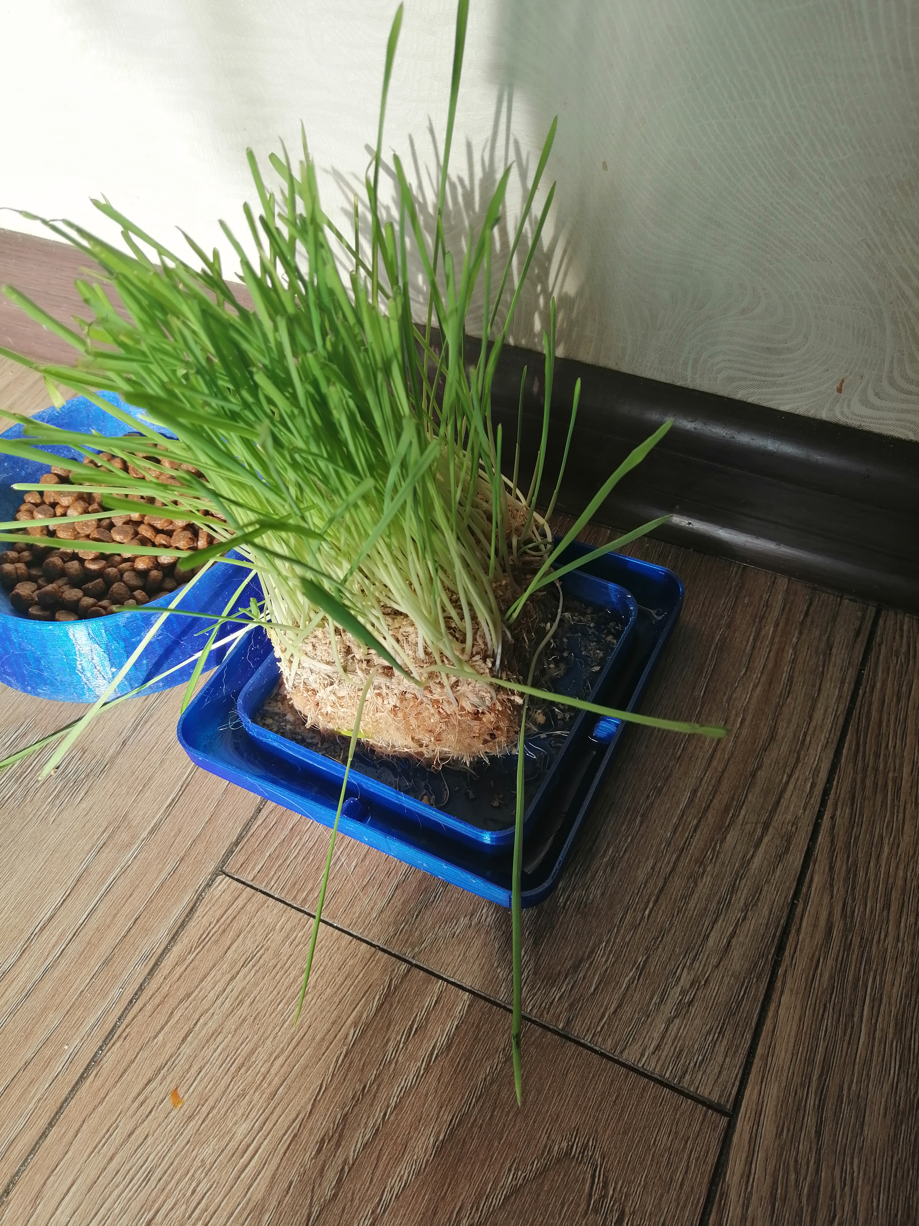 otu seven bir kedi için tepsi (Plastik Aparattır!!!)