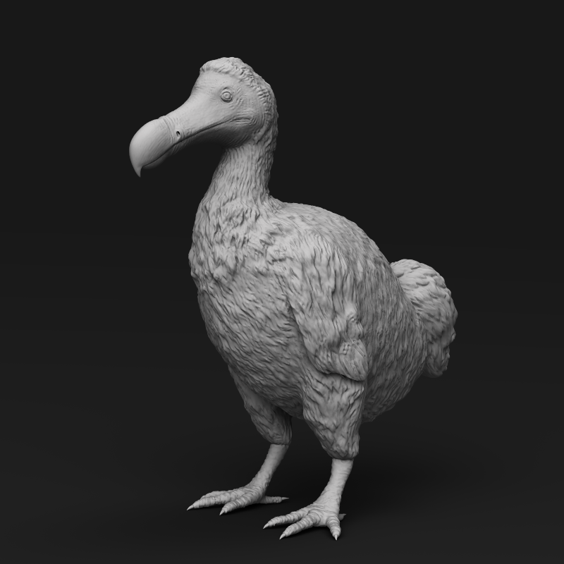 Dodo