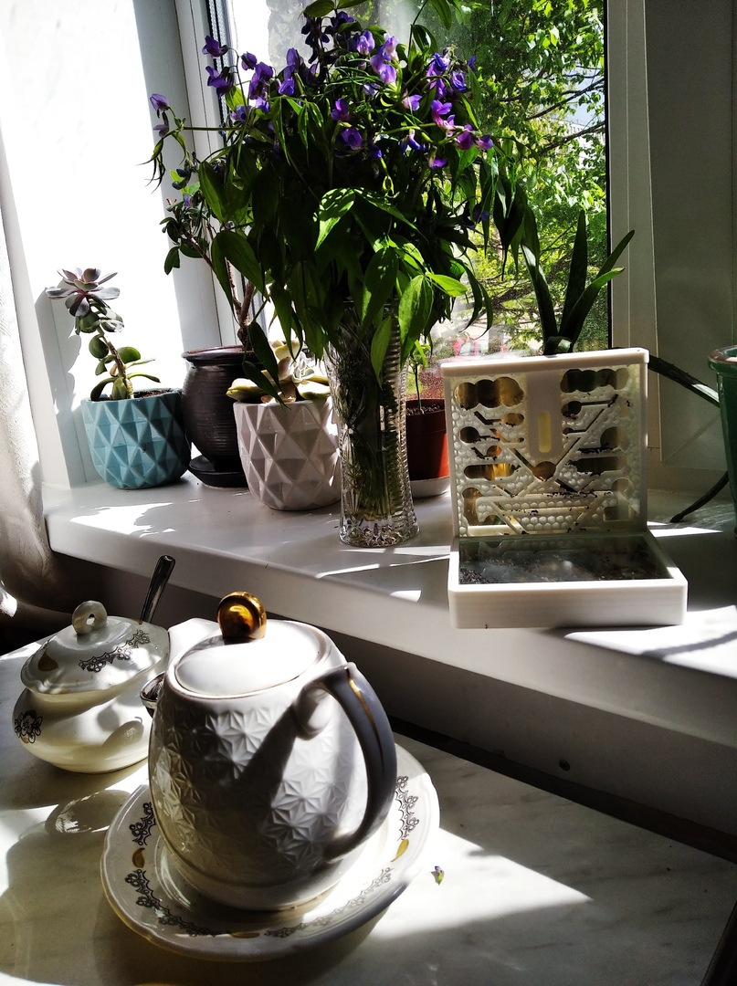 Муравьиная ферма с подсветкой (формикарий)