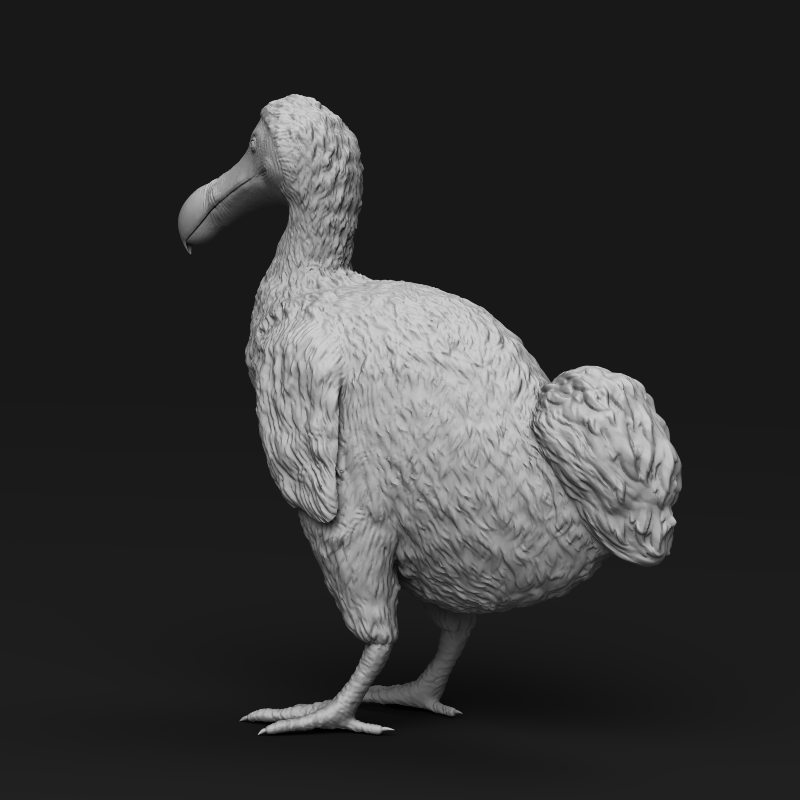 Dodo