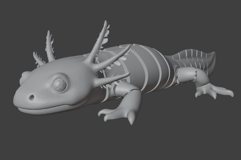 Flexi Articulated Axolotl — Print-in-Place Cute Shaking Toy / Minimal Supports