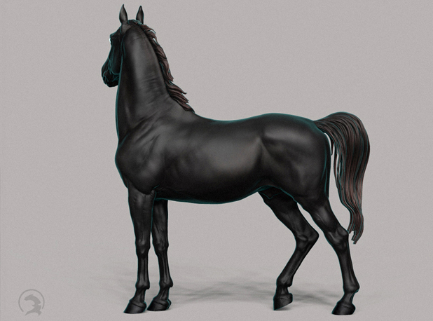 3D Модель "Kladruber"