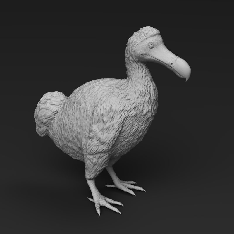 Dodo