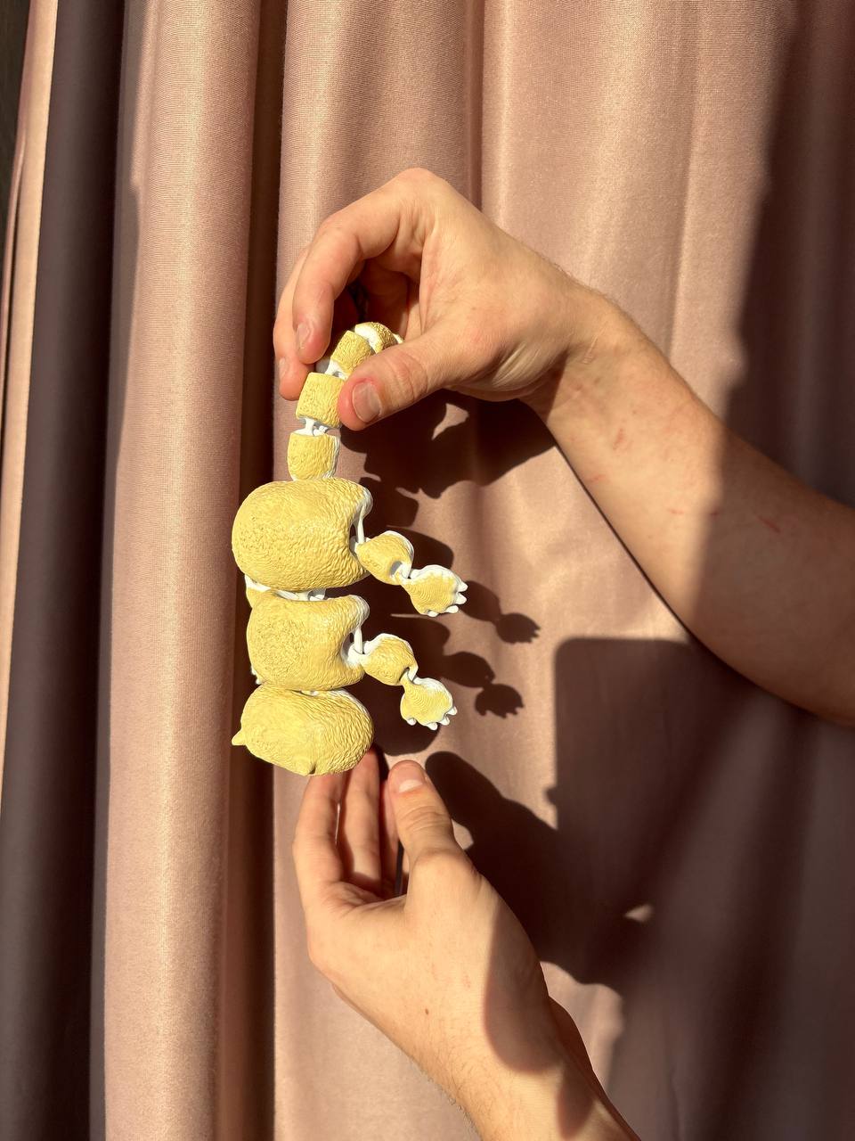 Подвижный персидский кот