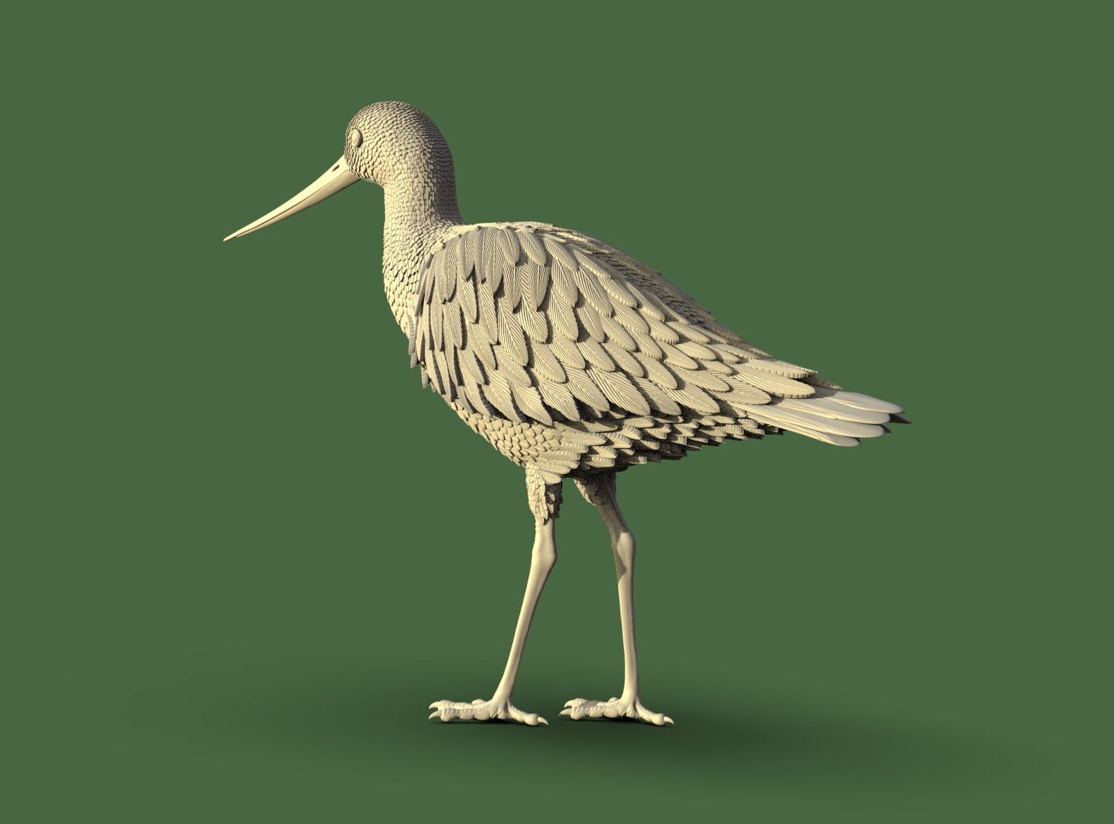 птица бекас выпь Веретенник