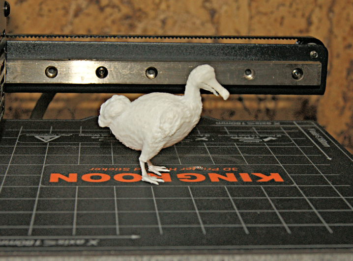 Dodo