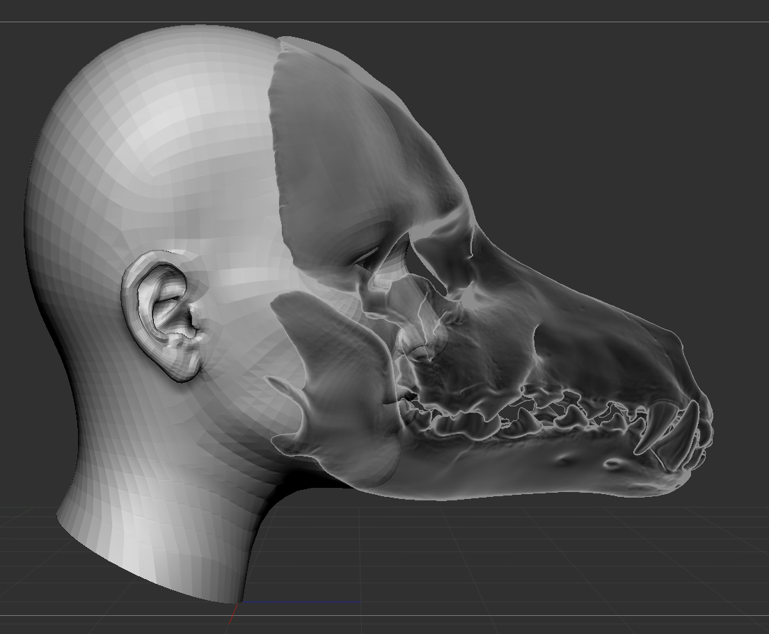 Продажа 3D-модели "Маска череп собаки"