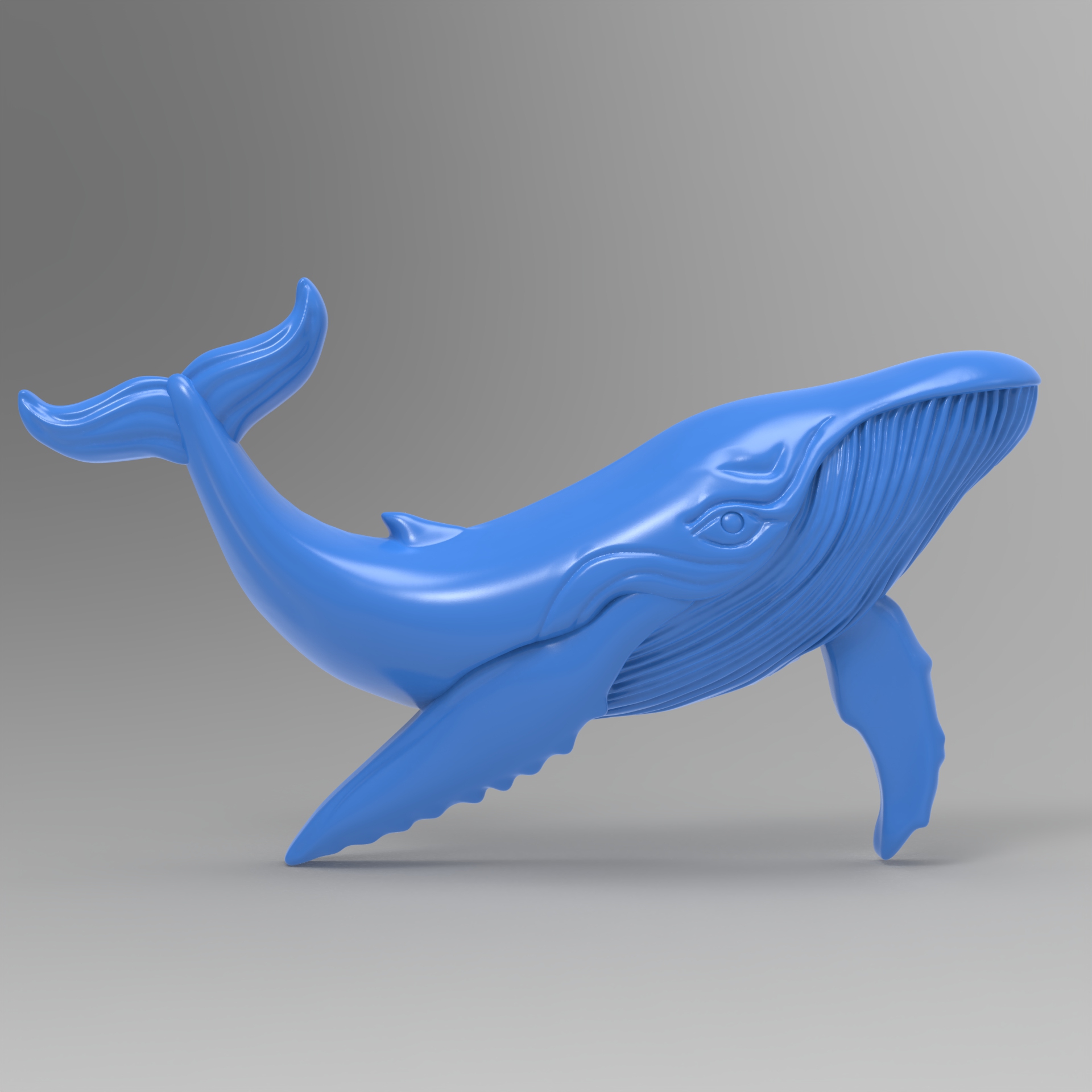 Кит синий (BLUE WHALE)