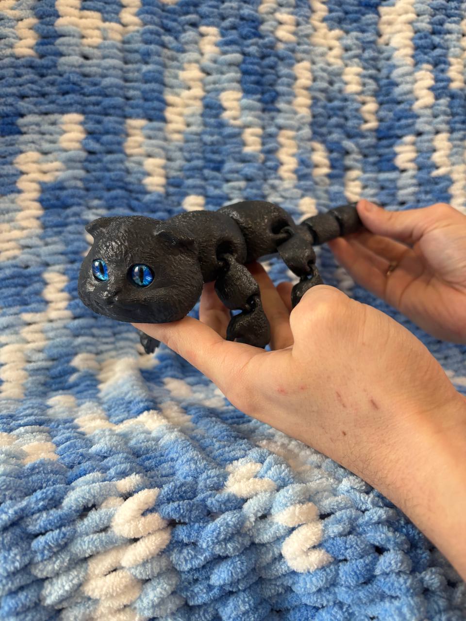 Подвижный кот, Вислоухий кот, шотландский кот Подвижный кот, Вислоухий кот, шотландский кот