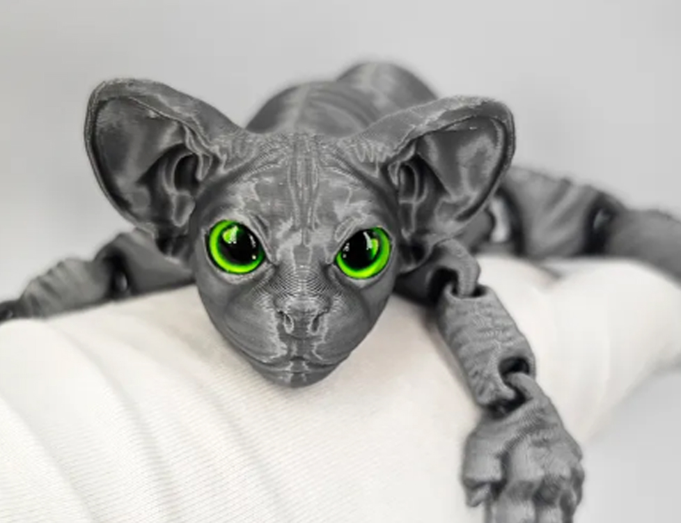 Кот ушастый