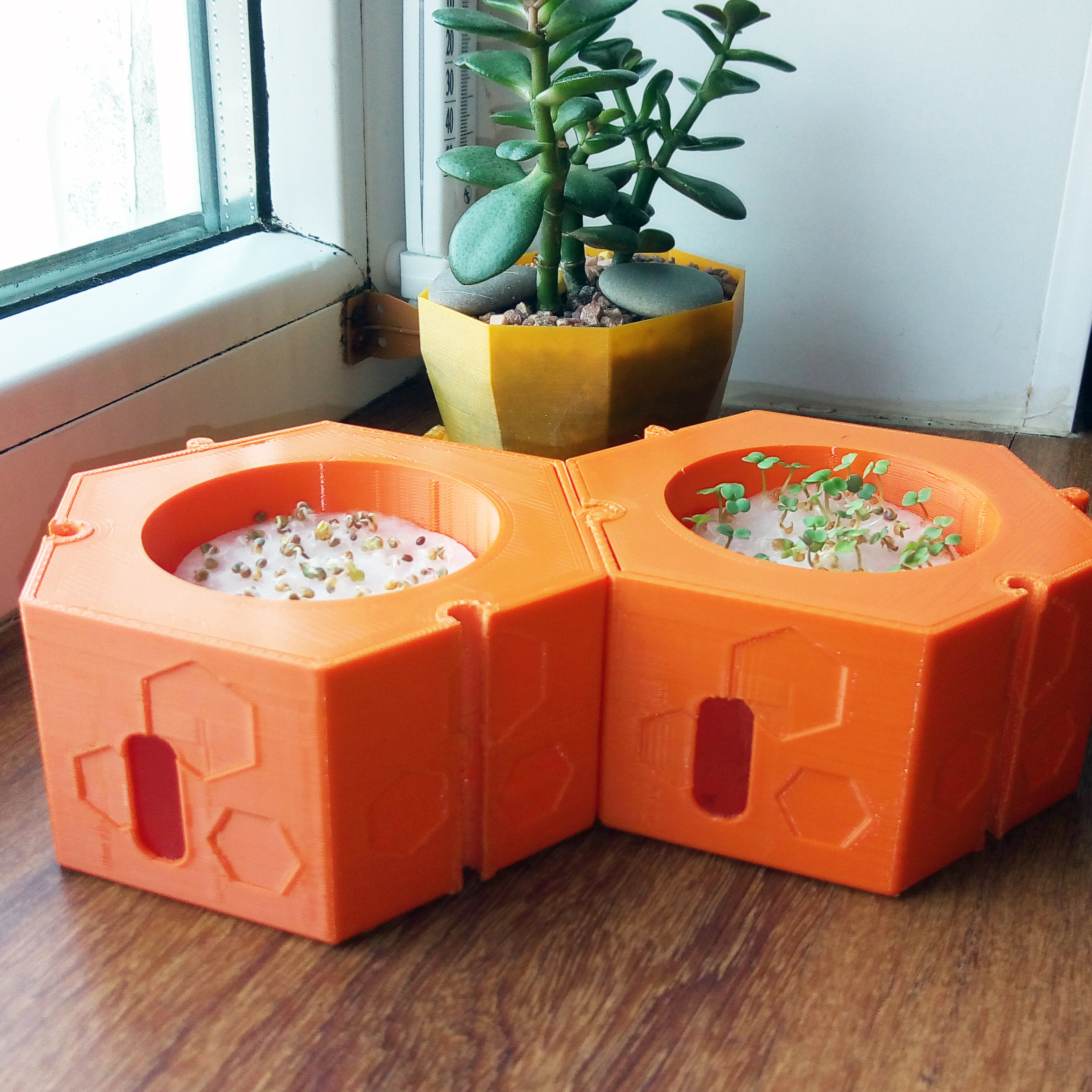 Модульная гидропонная система для выращивания микрозелени на подоконнике