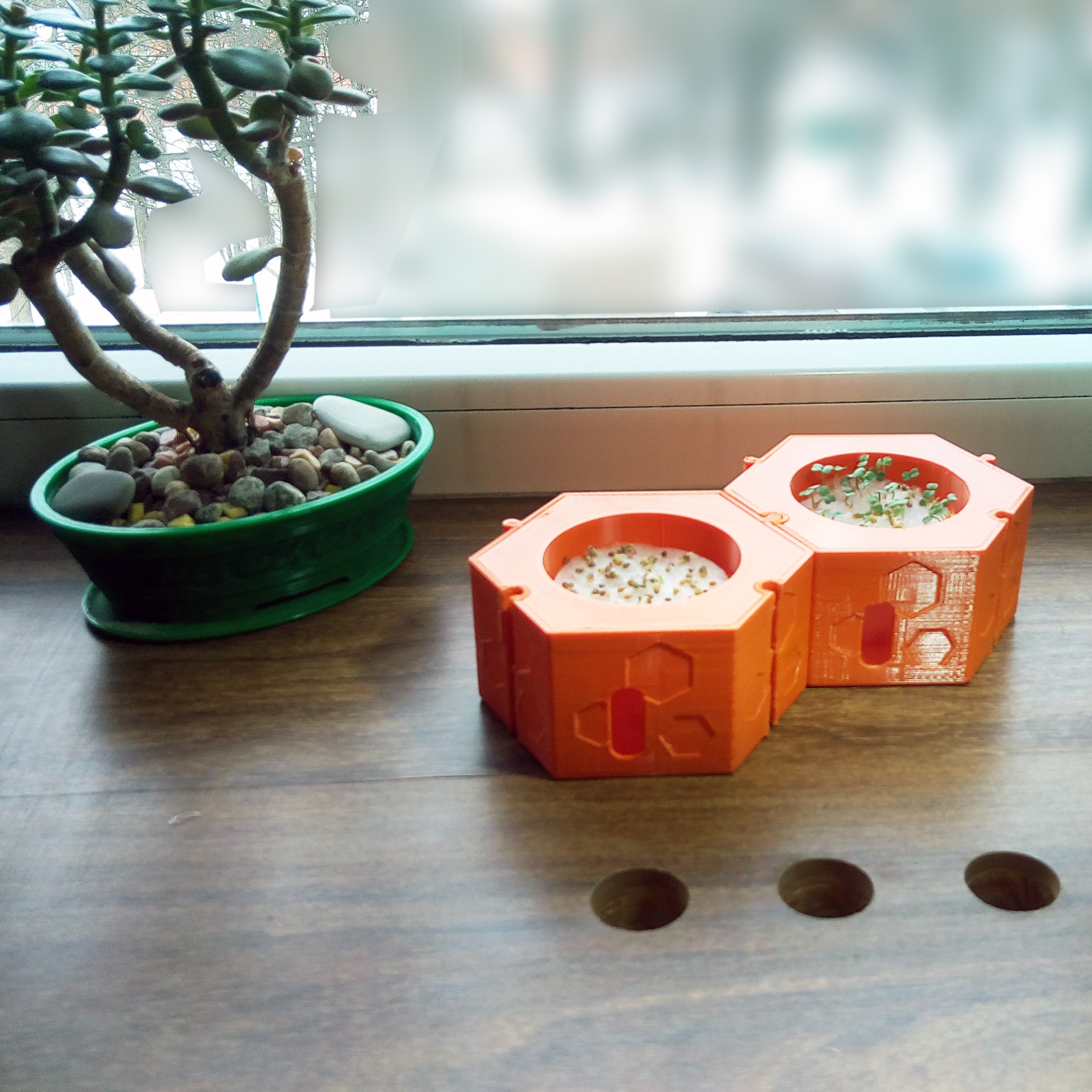 Модульная гидропонная система для выращивания микрозелени на подоконнике