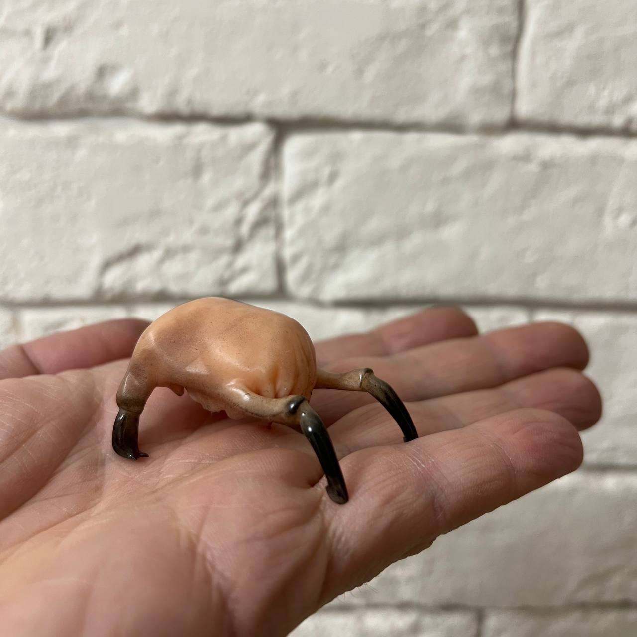 Хедкраб Half-Life