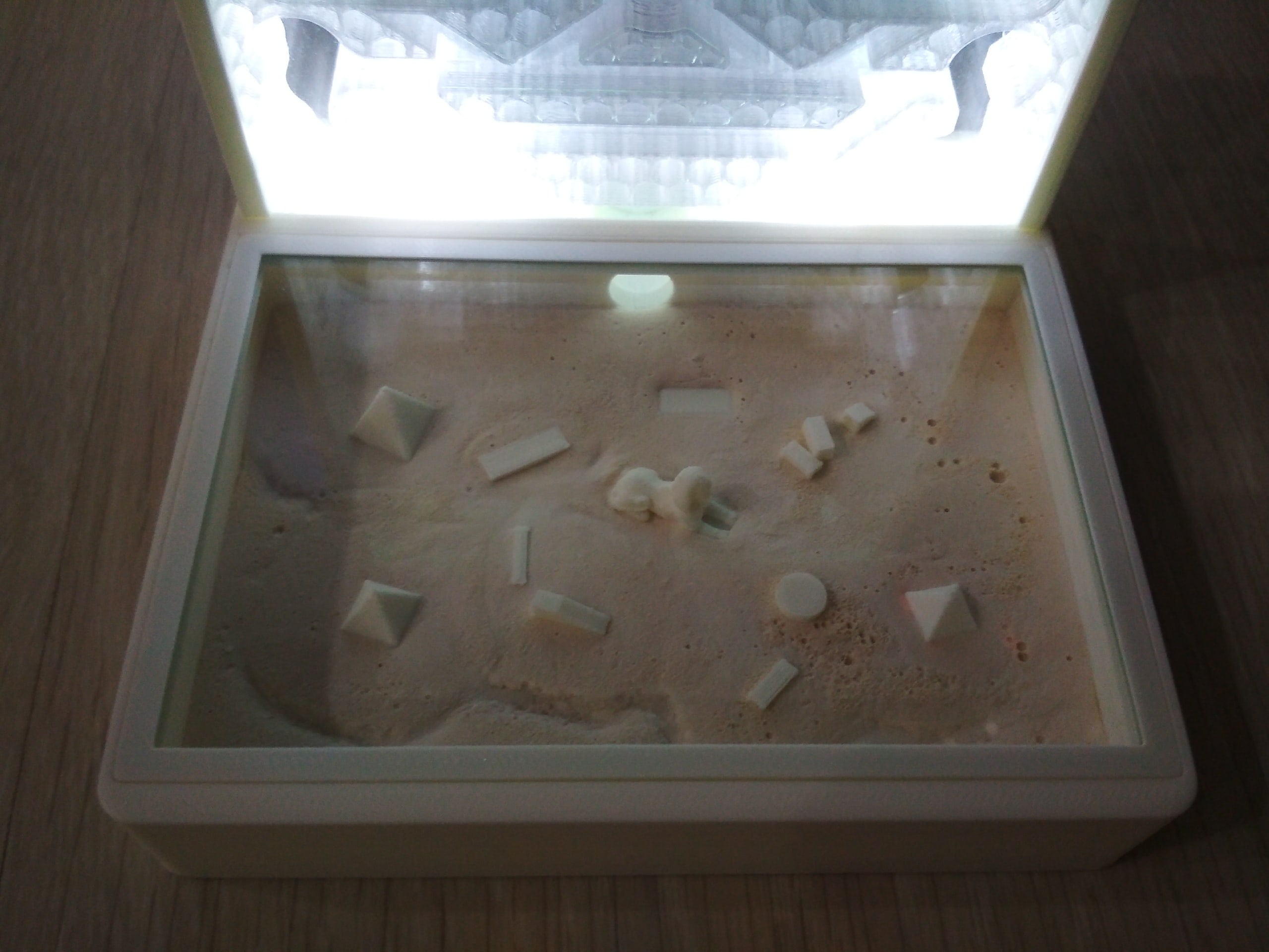 Муравьиная ферма с подсветкой (формикарий)