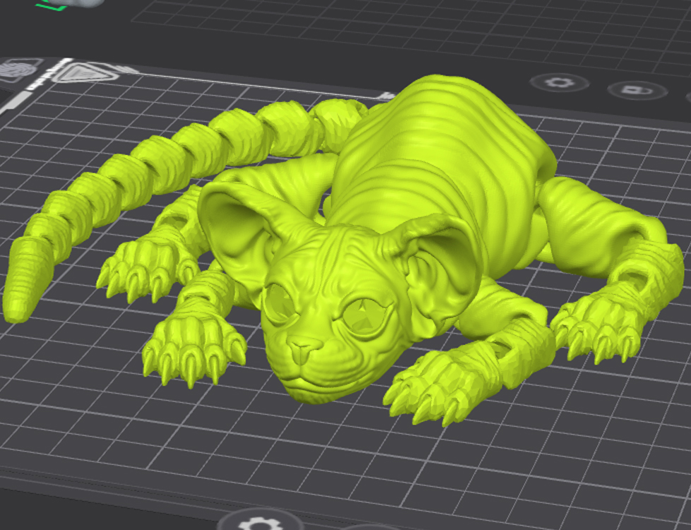 Кот ушастый