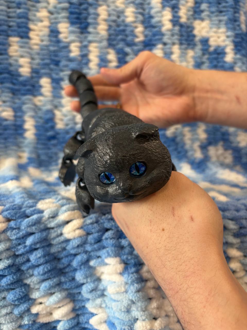 Подвижный кот, Вислоухий кот, шотландский кот Подвижный кот, Вислоухий кот, шотландский кот