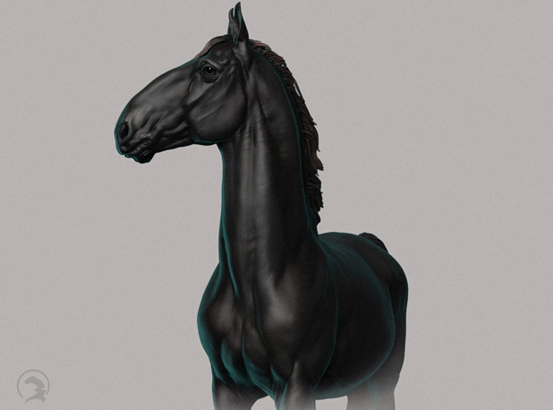 3D Модель "Kladruber"