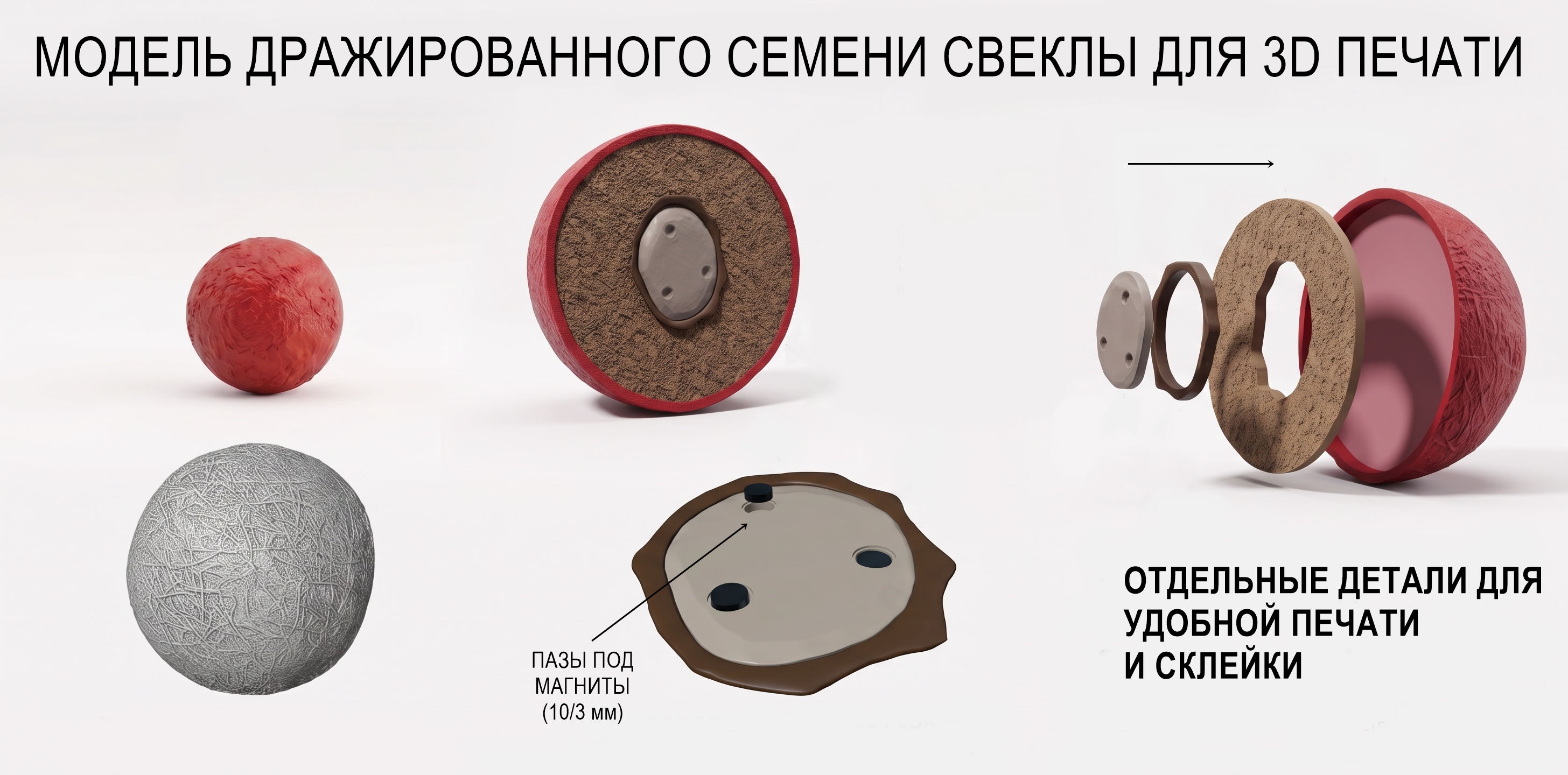 Семя Свеклы дражированное сборное