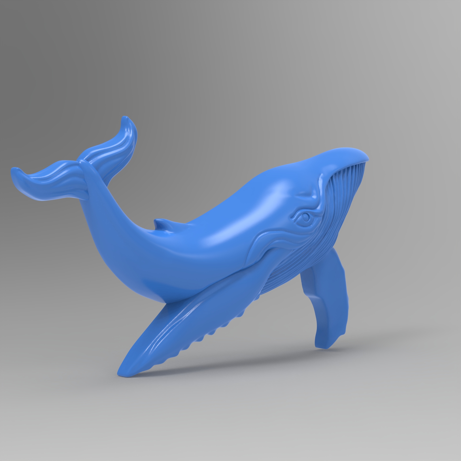 Кит синий (BLUE WHALE)