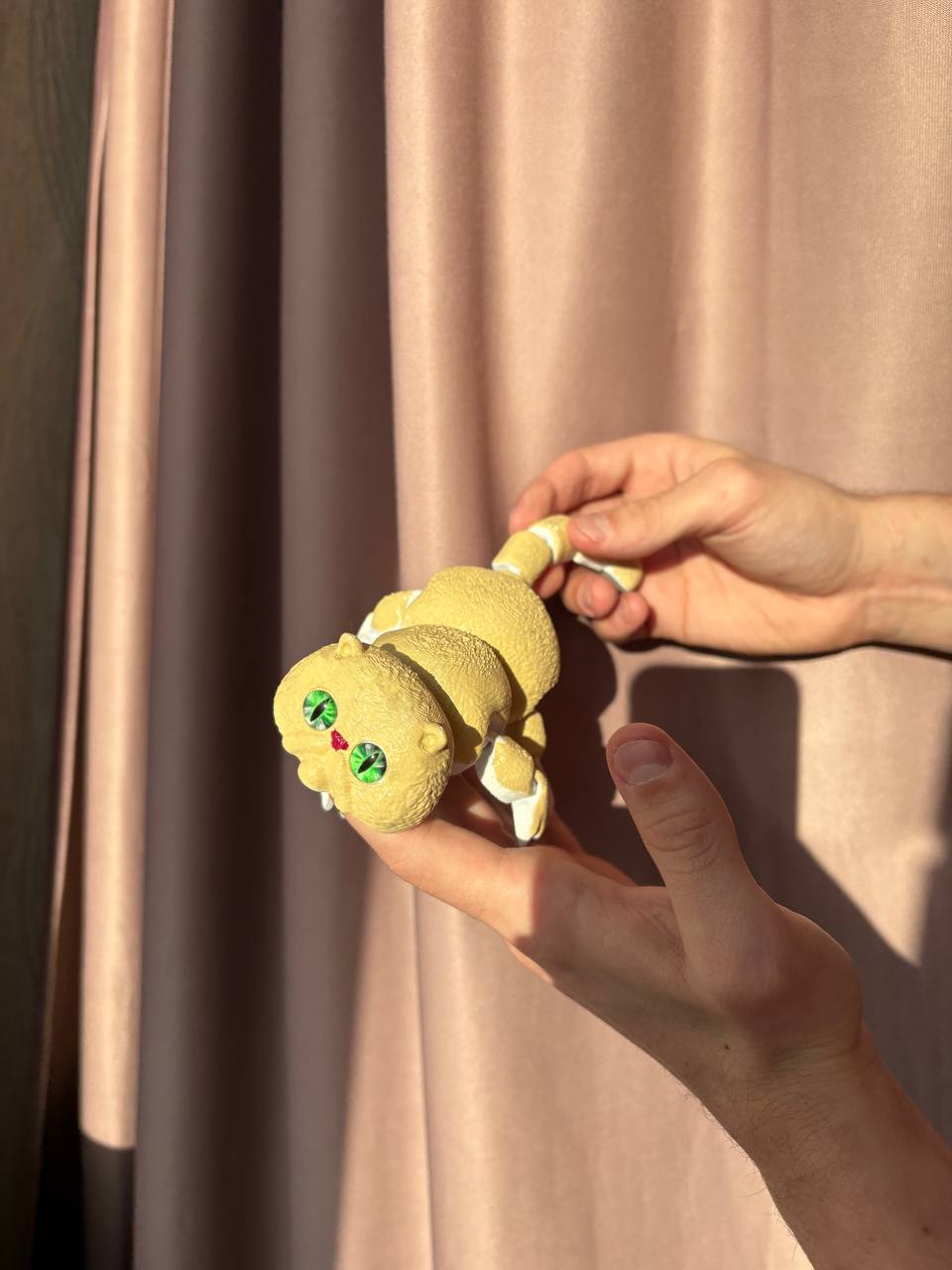 Подвижный персидский кот