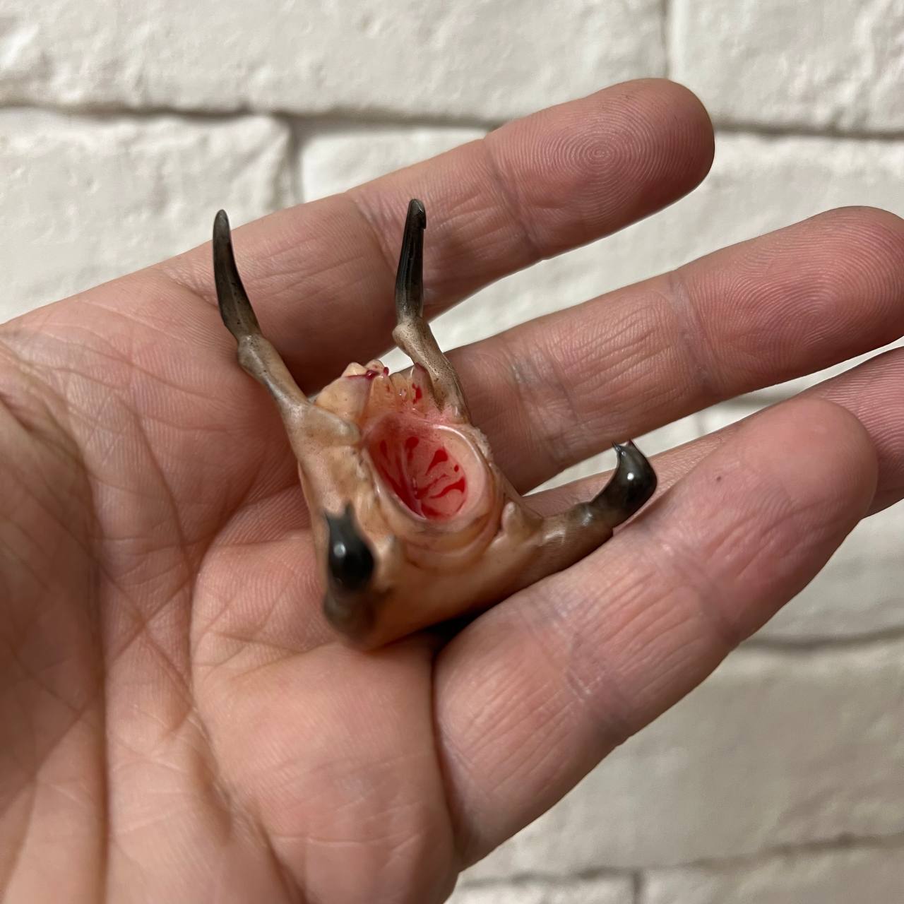 Хедкраб Half-Life