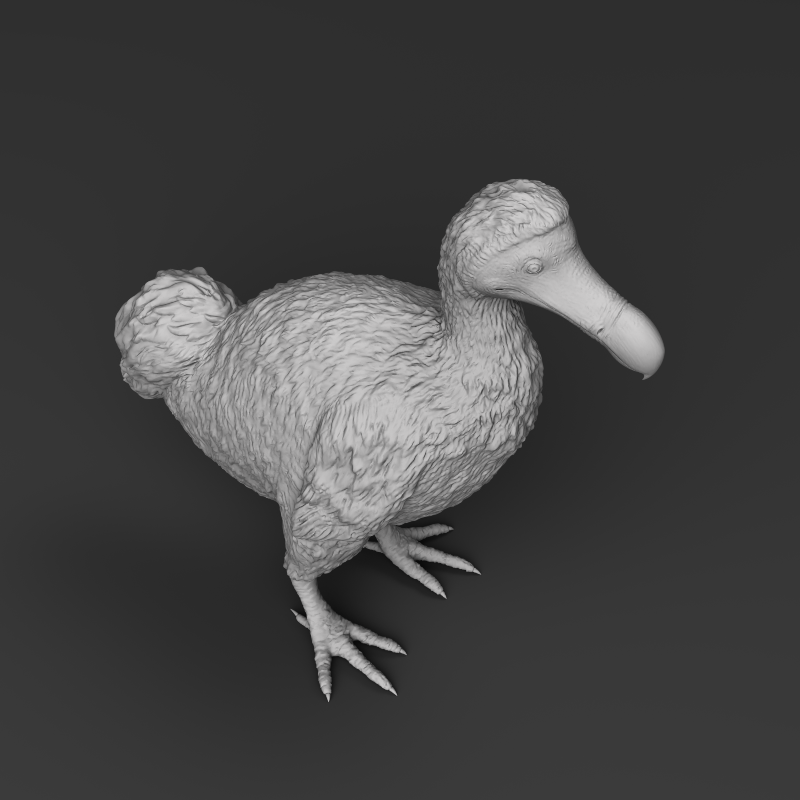 Dodo