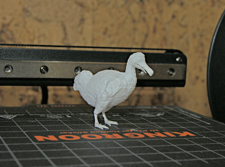 Dodo