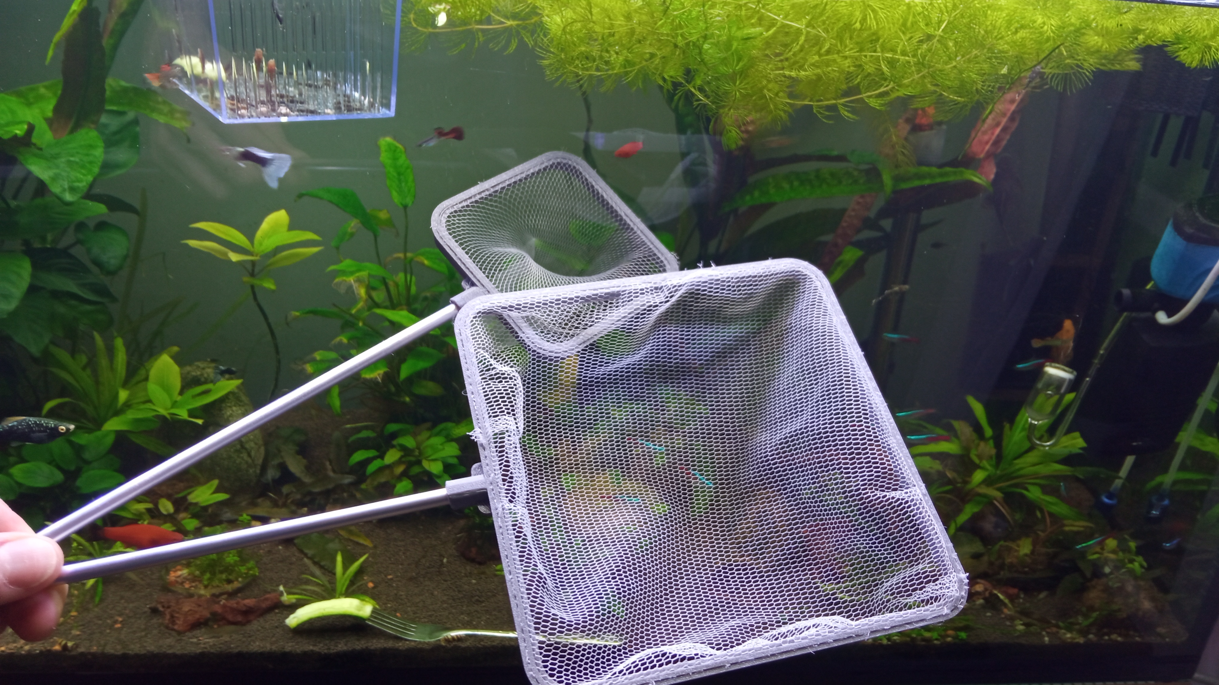 Сачок для аквариума 2 шт