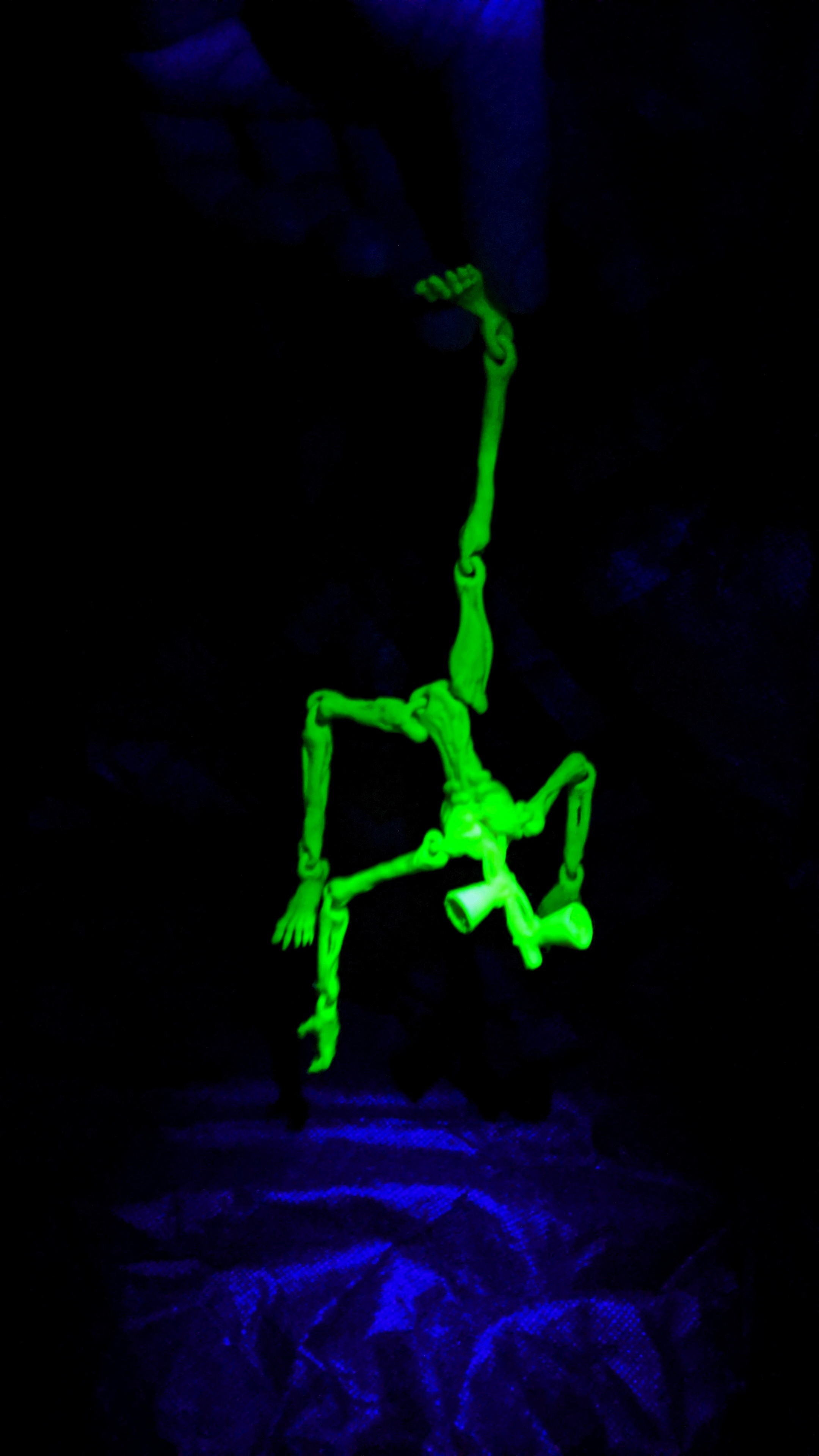 Сиреноголовый конечности двигаются