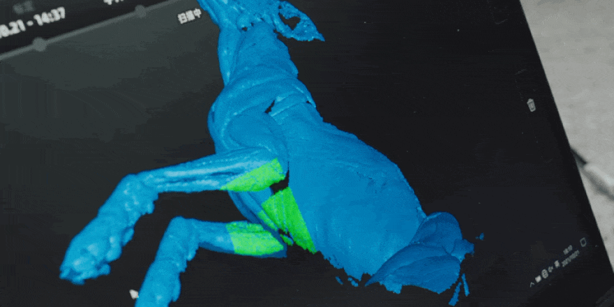 Создание художественно-анатомических моделей с помощью 3D-сканера EinScan
