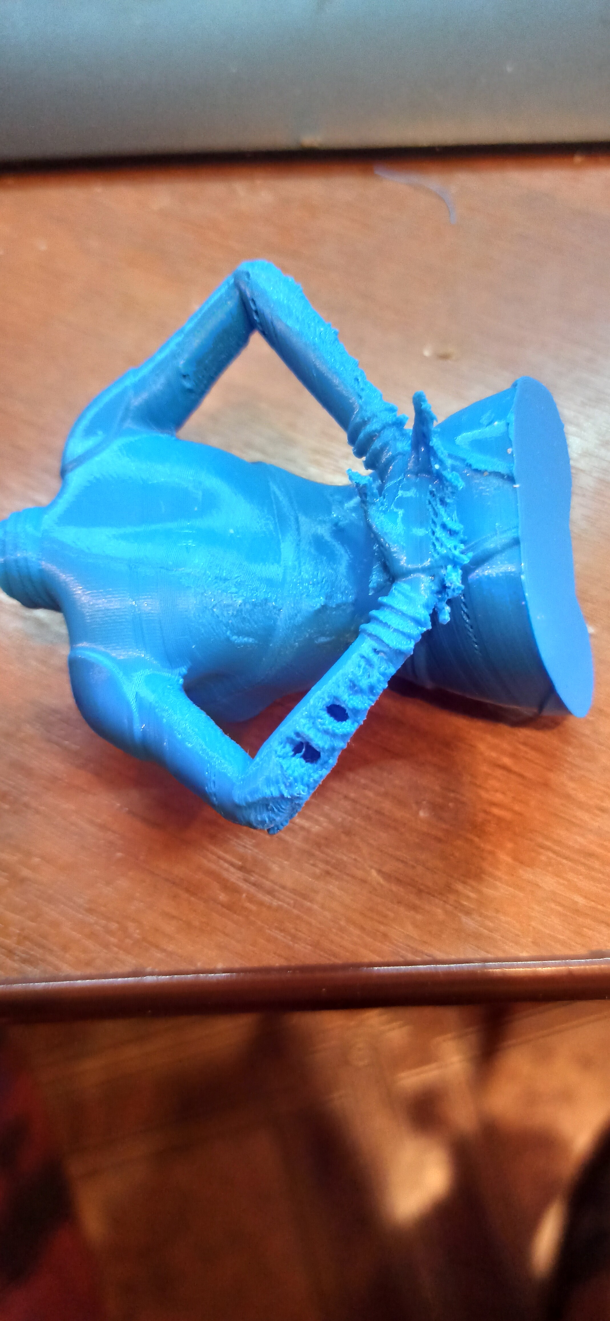 печать бюста