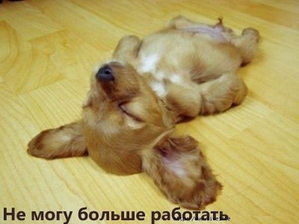 Пользователь Махоня